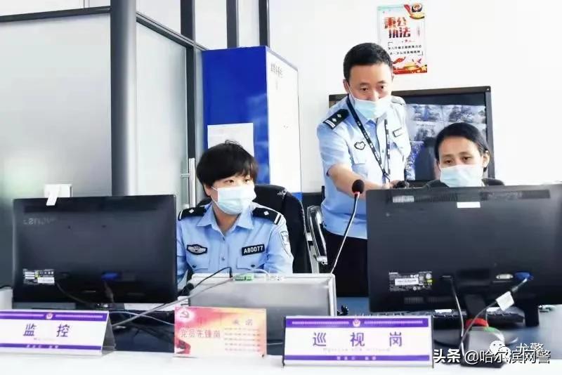 鍙屽鍙屾瘮,榛戦緳姹熺渷鍏畨绯荤粺鍙屽鍙屾瘮鍏稿瀷