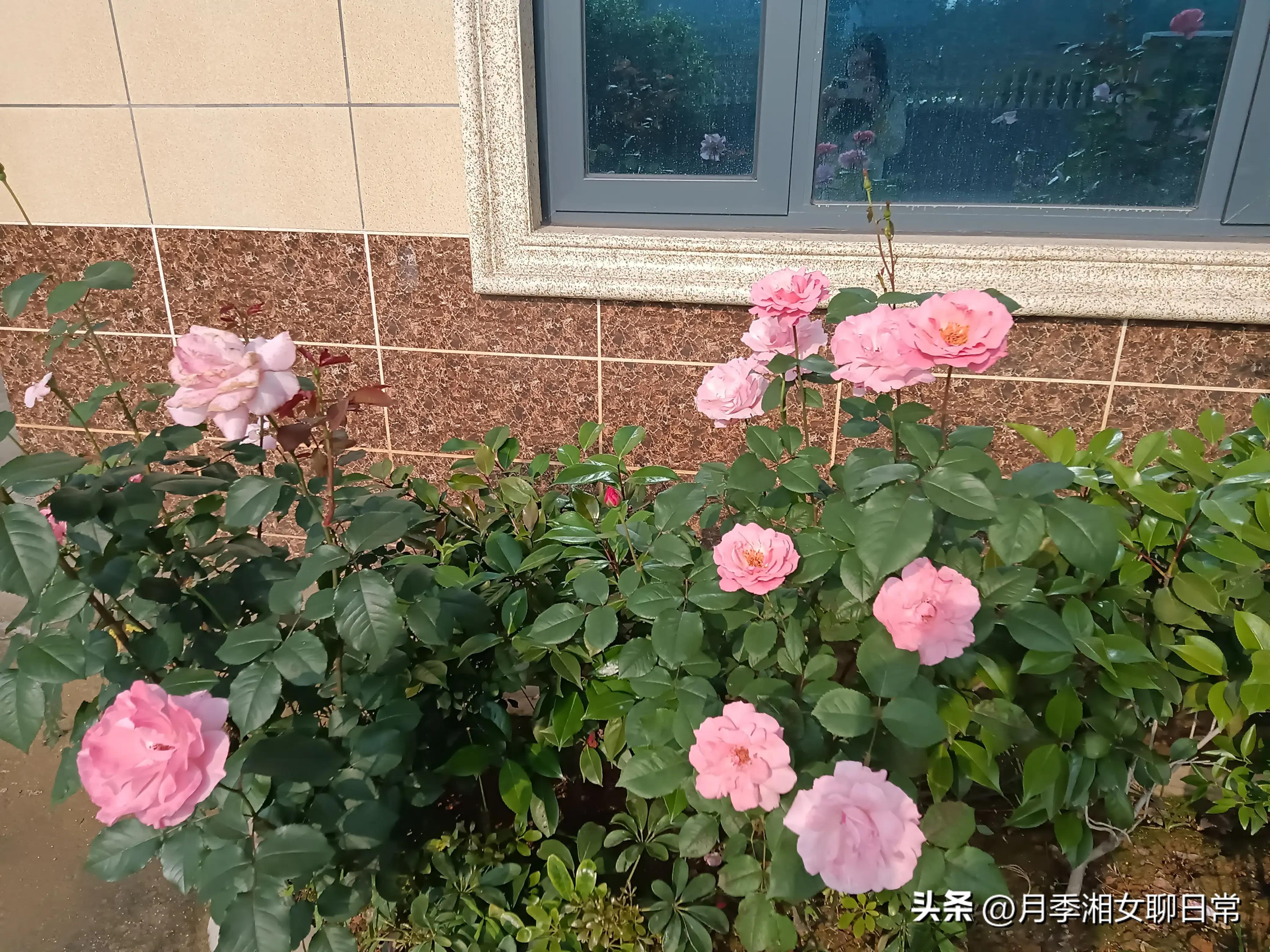 老公经常偷偷给他家里转钱怎么办,老公偷偷用我手机给他转钱