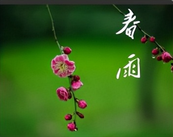 春天的问候唯美诗句,春天情话最美的句子