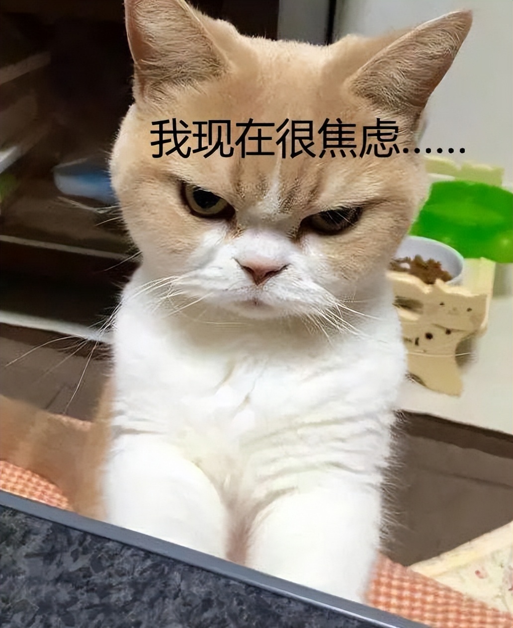 名品极选怎么样,名品极选是正规的吗