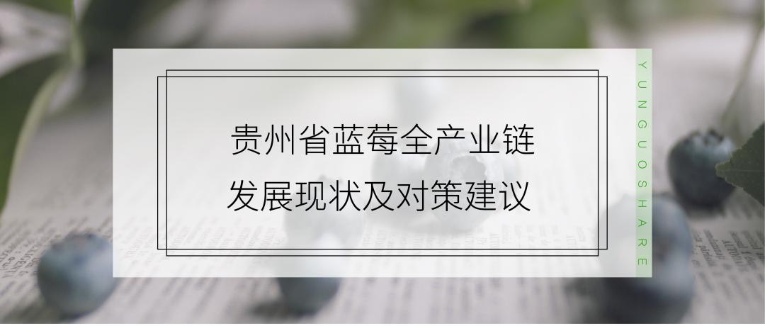 贵阳蓝莓产业,贵州蓝莓种植面积及产量