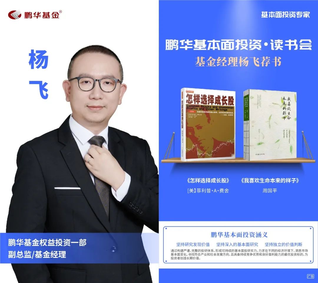 鹏华基金王宗合价值分析,鹏华基金王宗合深度分析