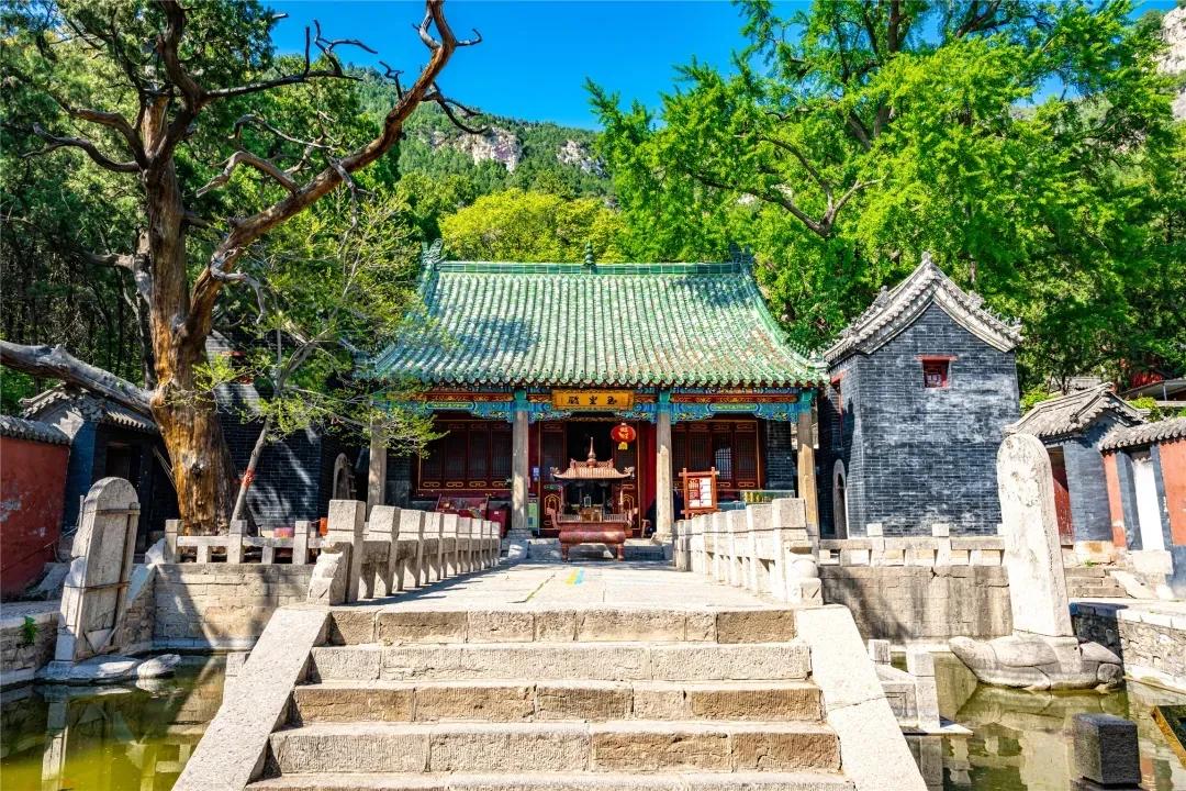 济南夏日森林游玩攻略,藏在济南的夏日度假圣地