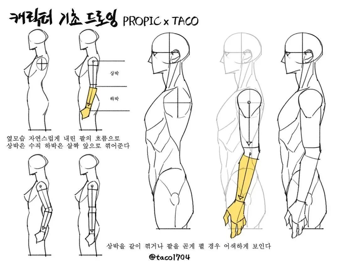这组拟人头像作品脑洞太大了！就是那位硬核人体教程的画师