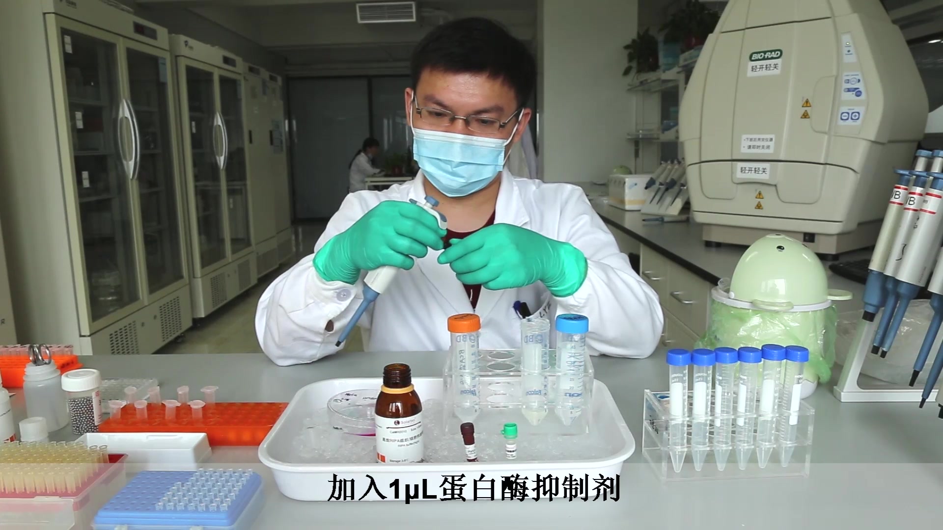 昆明纳瑞丨教你如何一天内做完WesternBlot的所有操作