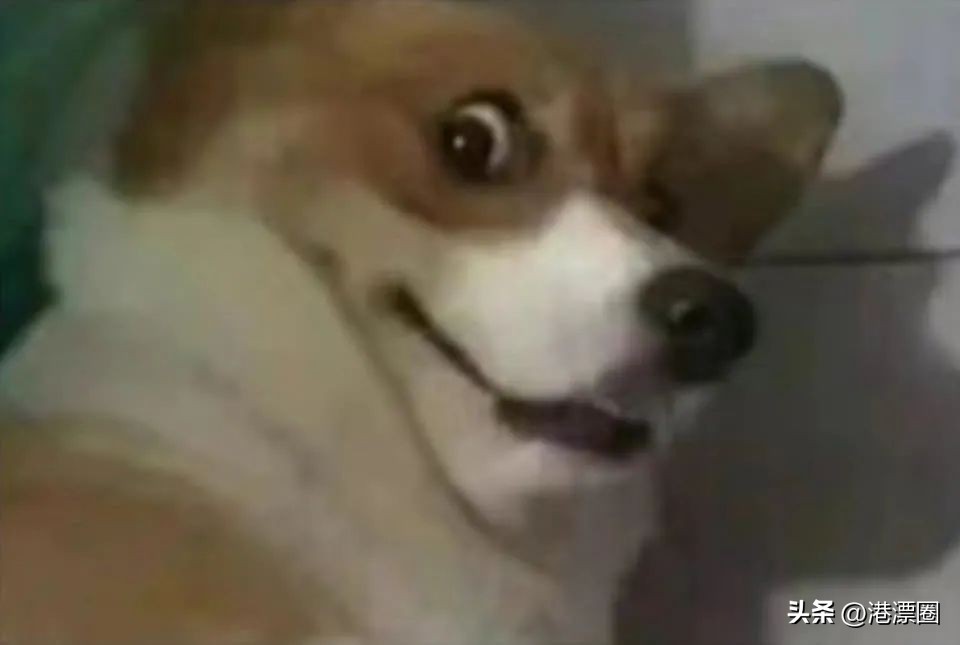 轰动全球的*踏事踩**故,彻底改变了香港