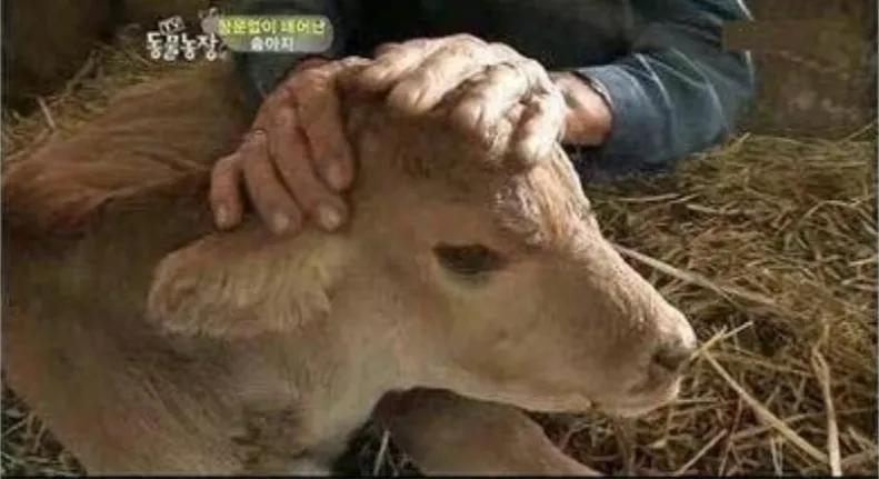 出生时没有肛门，有人却说要养他一辈子