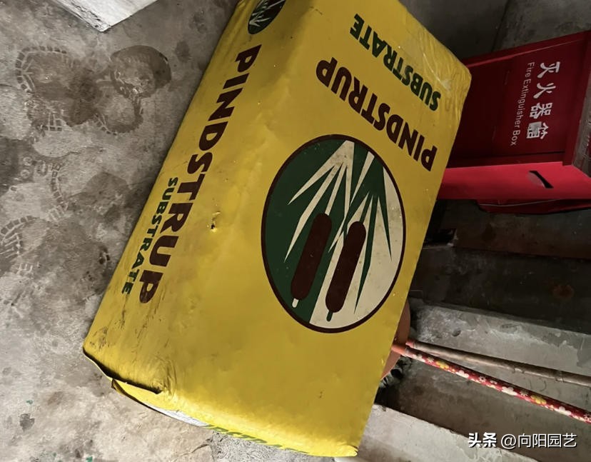 哪种进口泥炭土比较好,进口泥炭土大全