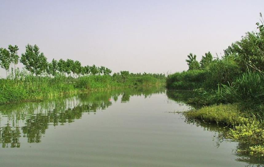 江苏龙虾之都现状,龙虾的盛产基地挺出名的地方