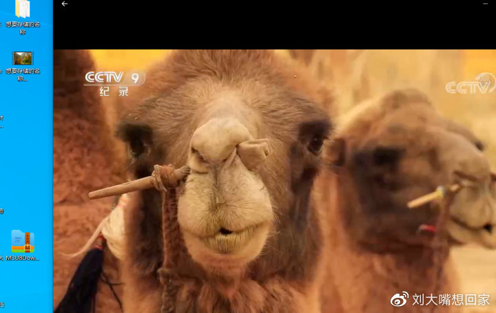 央视客户端下载的视频花屏,央视直播花屏的解决办法