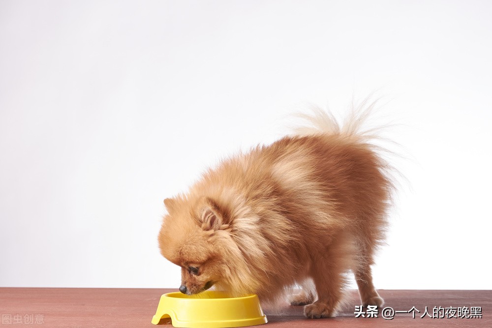 狗狗吃了葡萄多久出现症状,狗狗吃了葡萄怎么在家把它吐出来