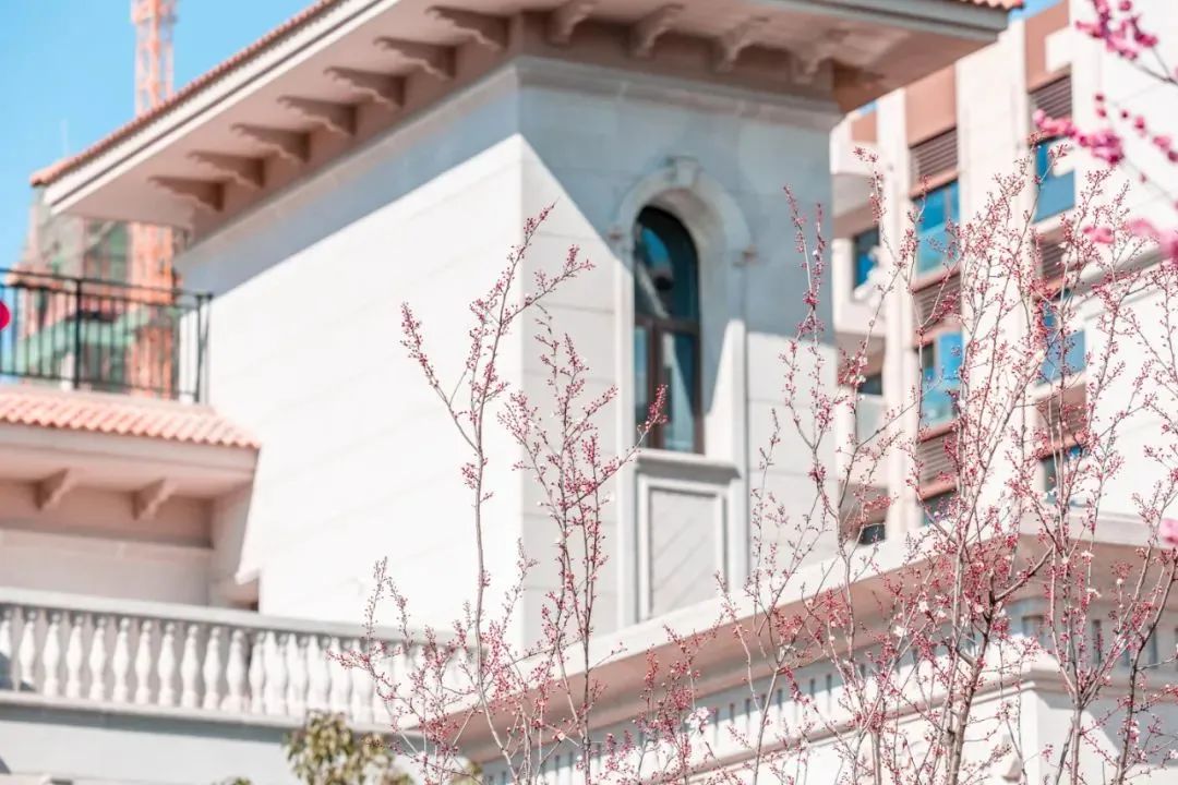 欢迎来到我的新家语音,欢迎来到我的新家怎么读