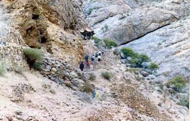 村庄的传说完整版免费看,村子里的传说全部