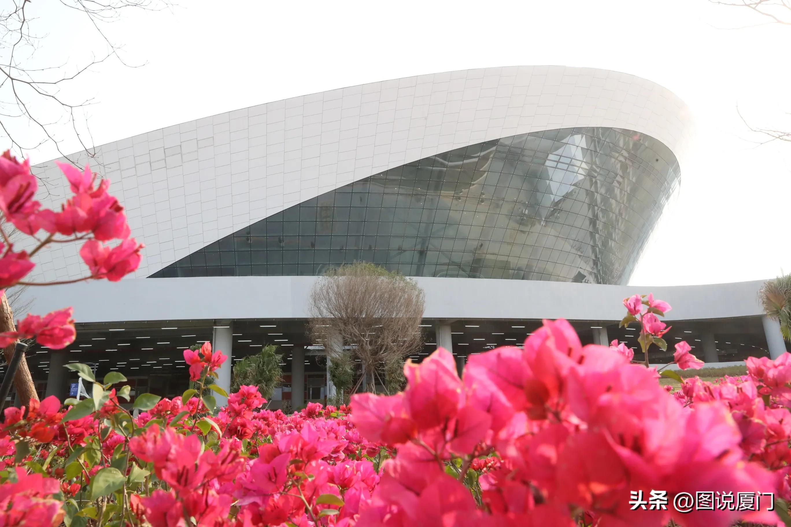 cba全明星赛将开赛连续两年在厦门,厦门承办cba全明星周末