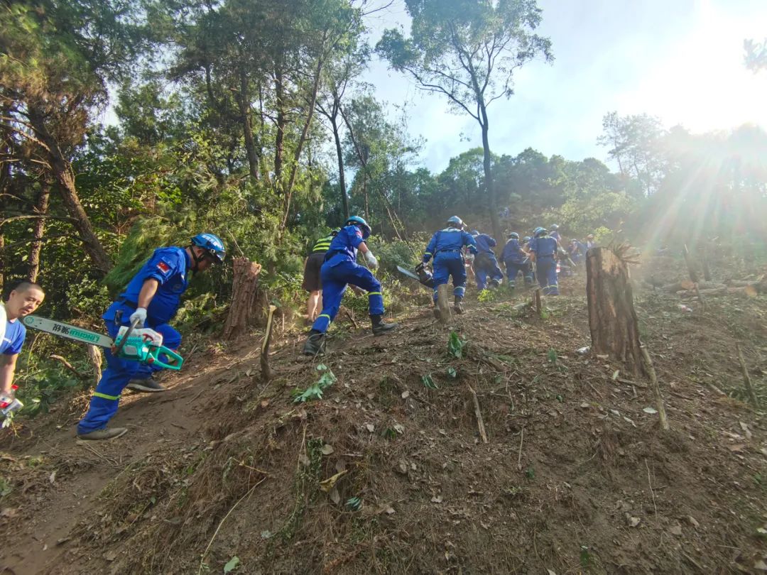 重庆高温同时引起山火新闻,重庆高温灭山火