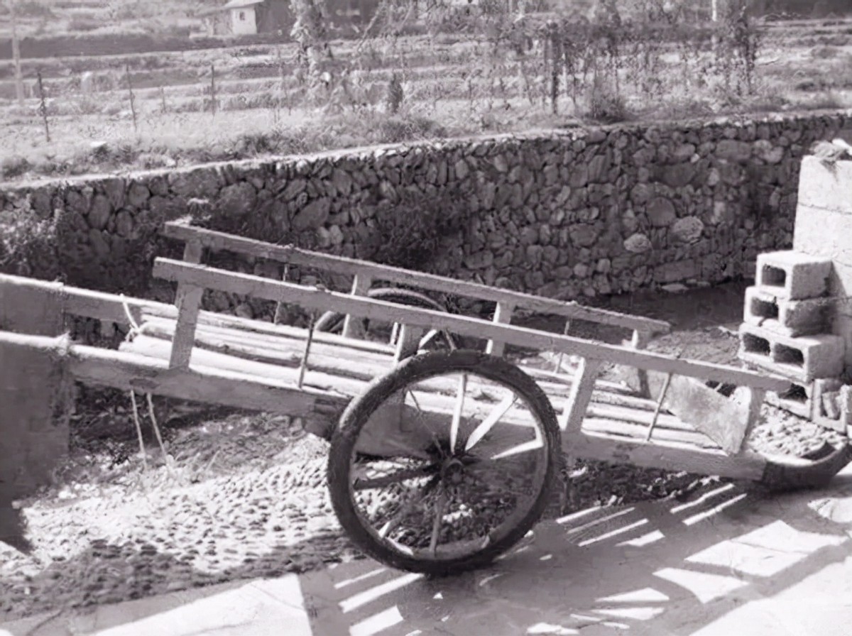 温州一代鞋王,温州一代鞋王完整版