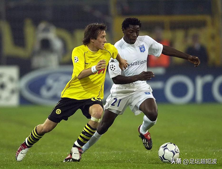 喜鹊死亡的视频,喜鹊之死完整视频