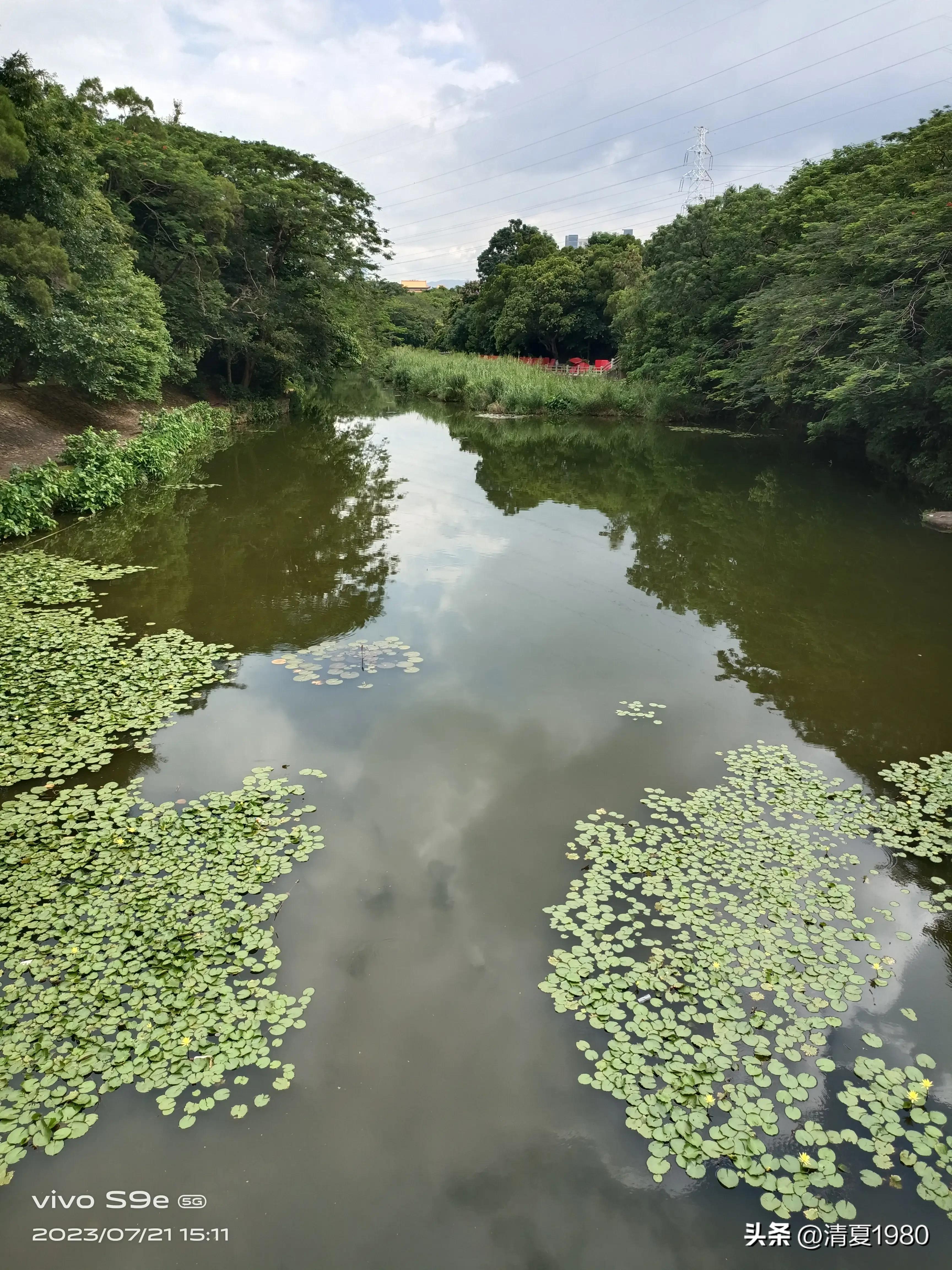 深圳东湖公园门票多少钱一张,深圳东湖公园景点图片高清