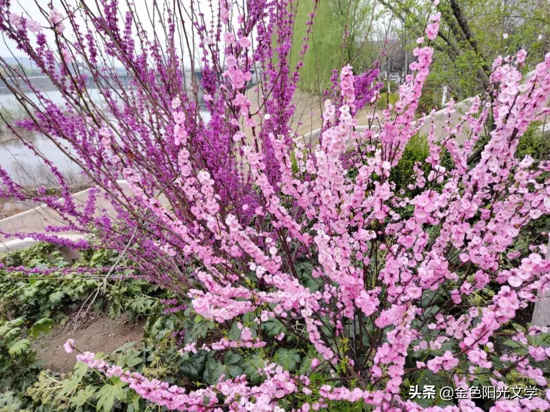 那一刻我长大了400字五年级,那一刻我长大了作文500字