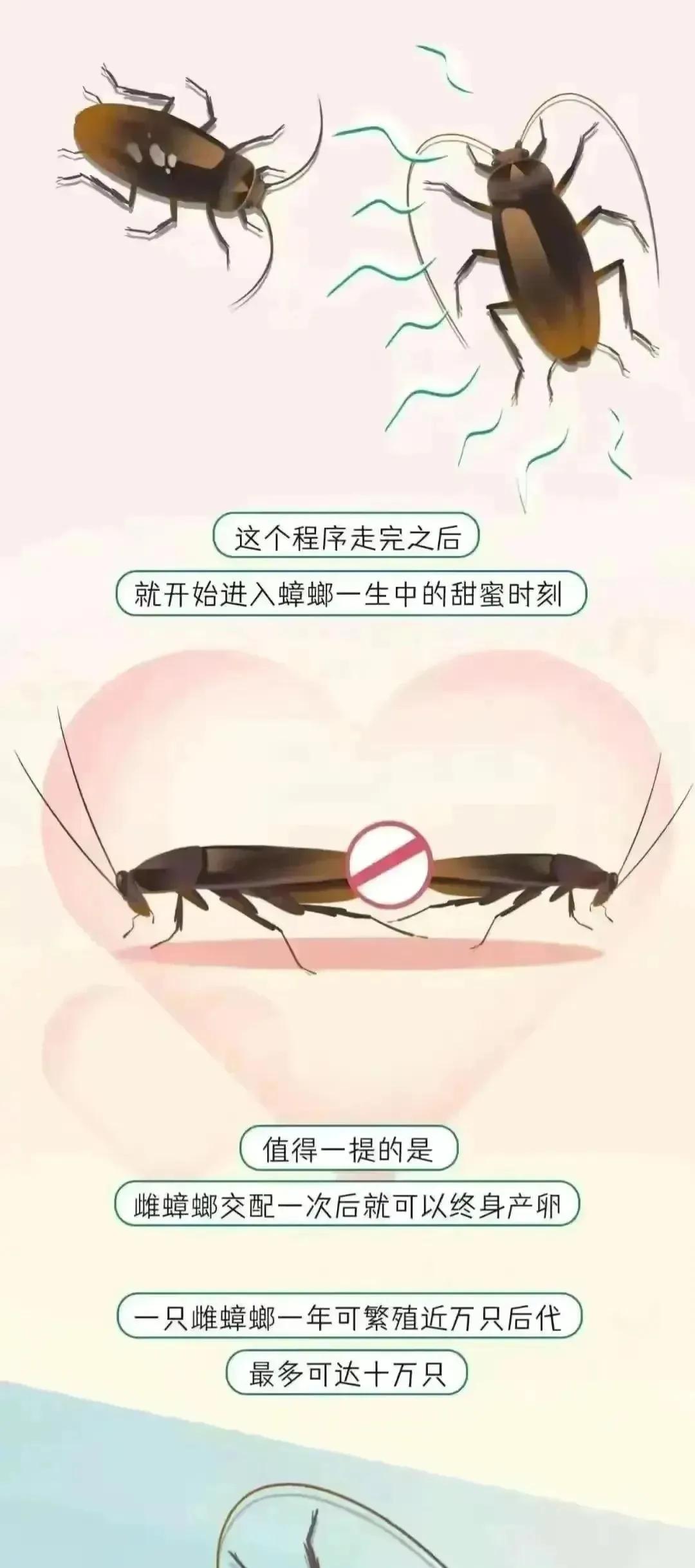 人类受孕时长是多久,人类正常受孕多久