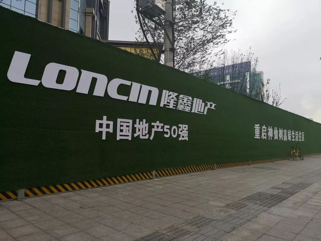 中国500强企业亏损前十名,中国民营企业500强榜单隆鑫