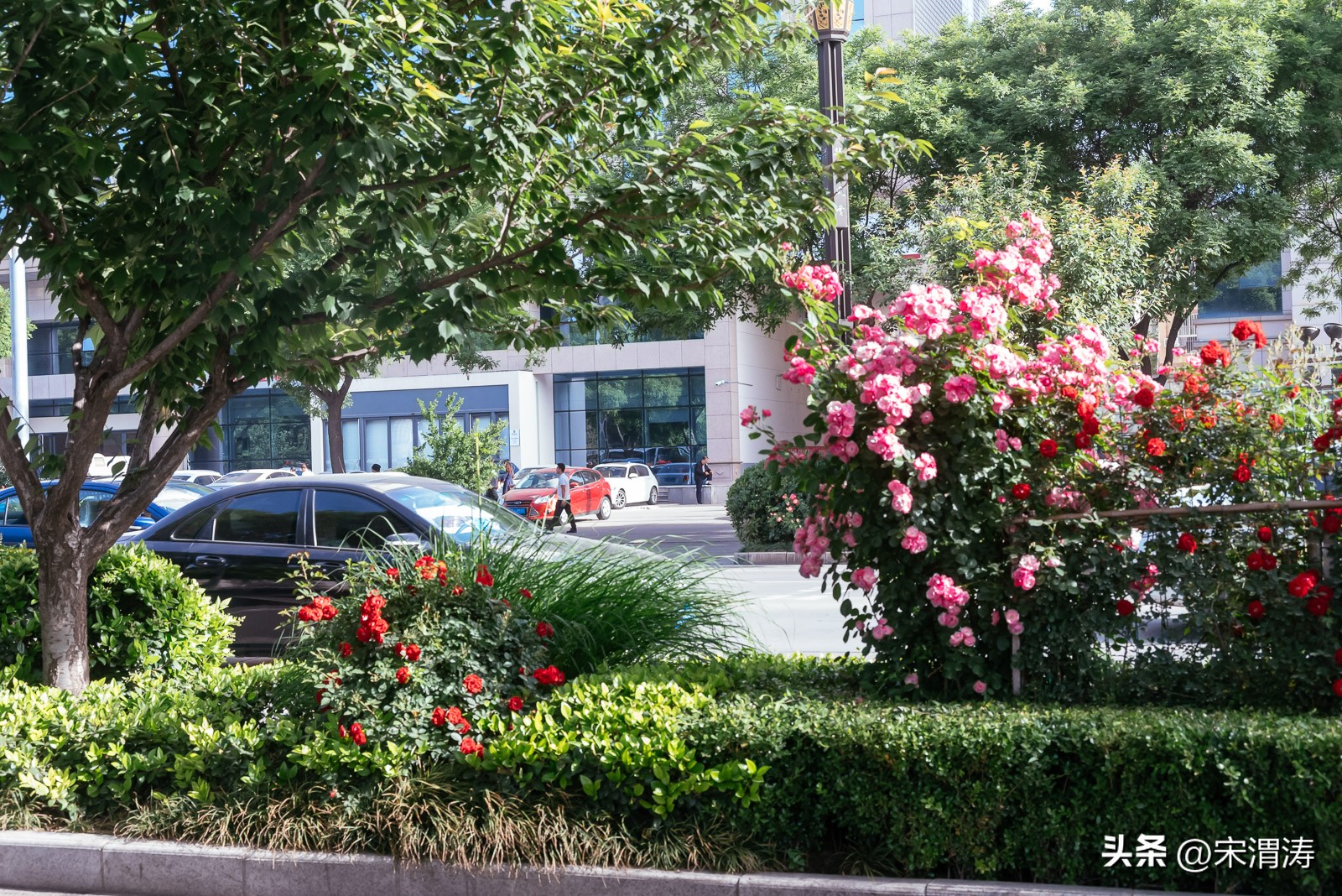 宋姓起源,山西洪洞宋姓起源