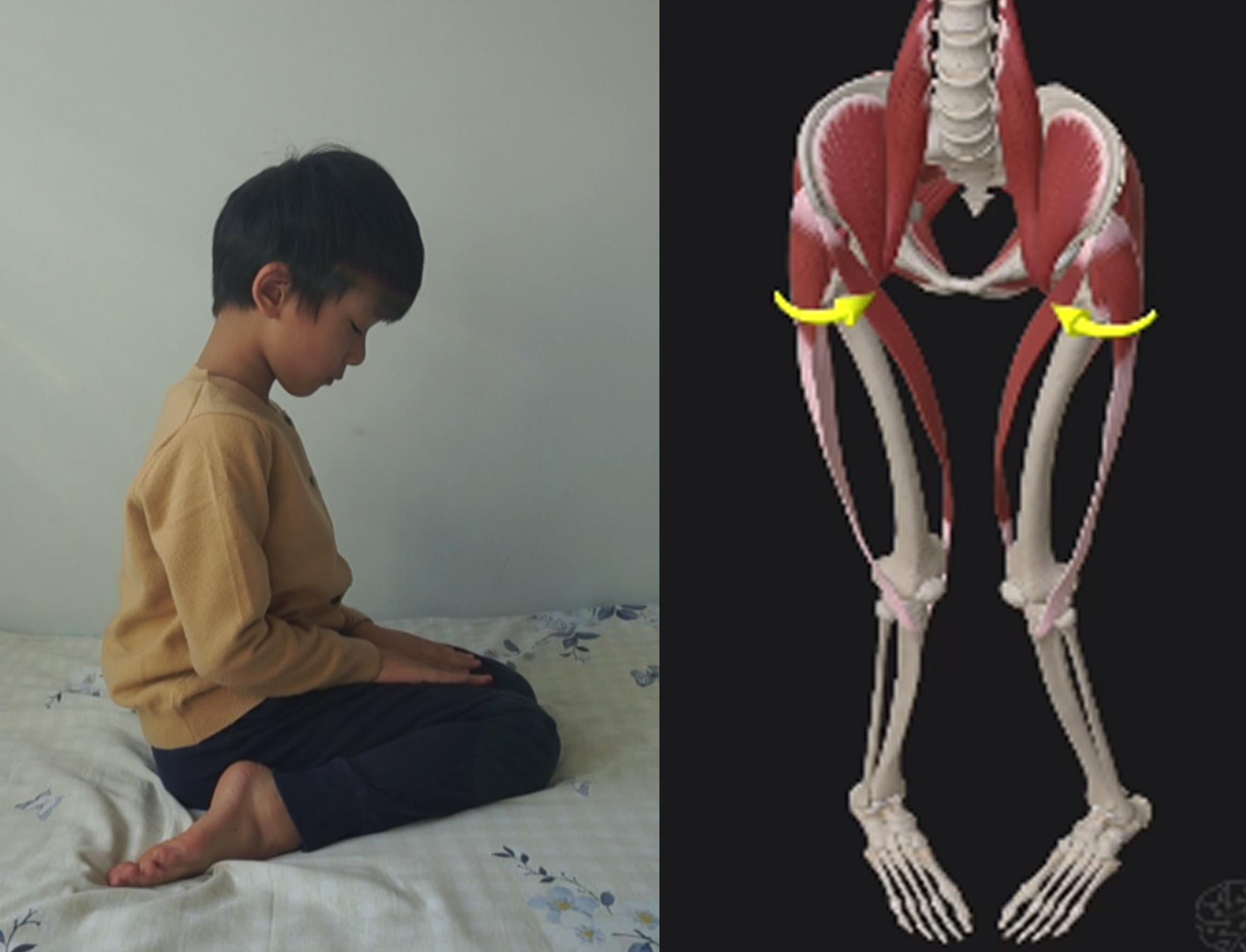 ,文字版跪坐与双盘：开胯、膝、踝#传武#太极