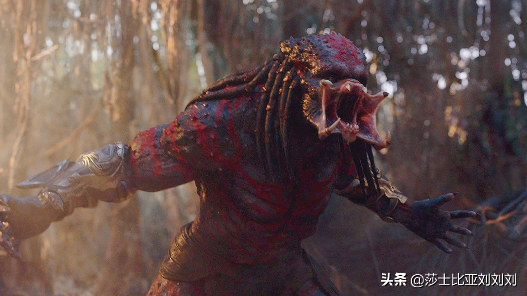 铁血军人深度解析,一口气讲完铁血战士