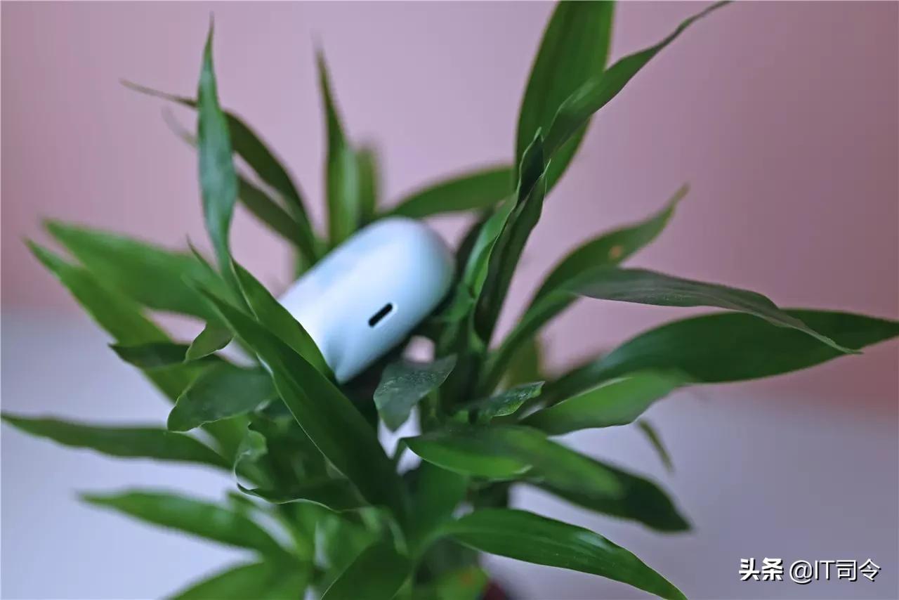 vivotws2e现在还值得买吗,vivotws2e功能介绍