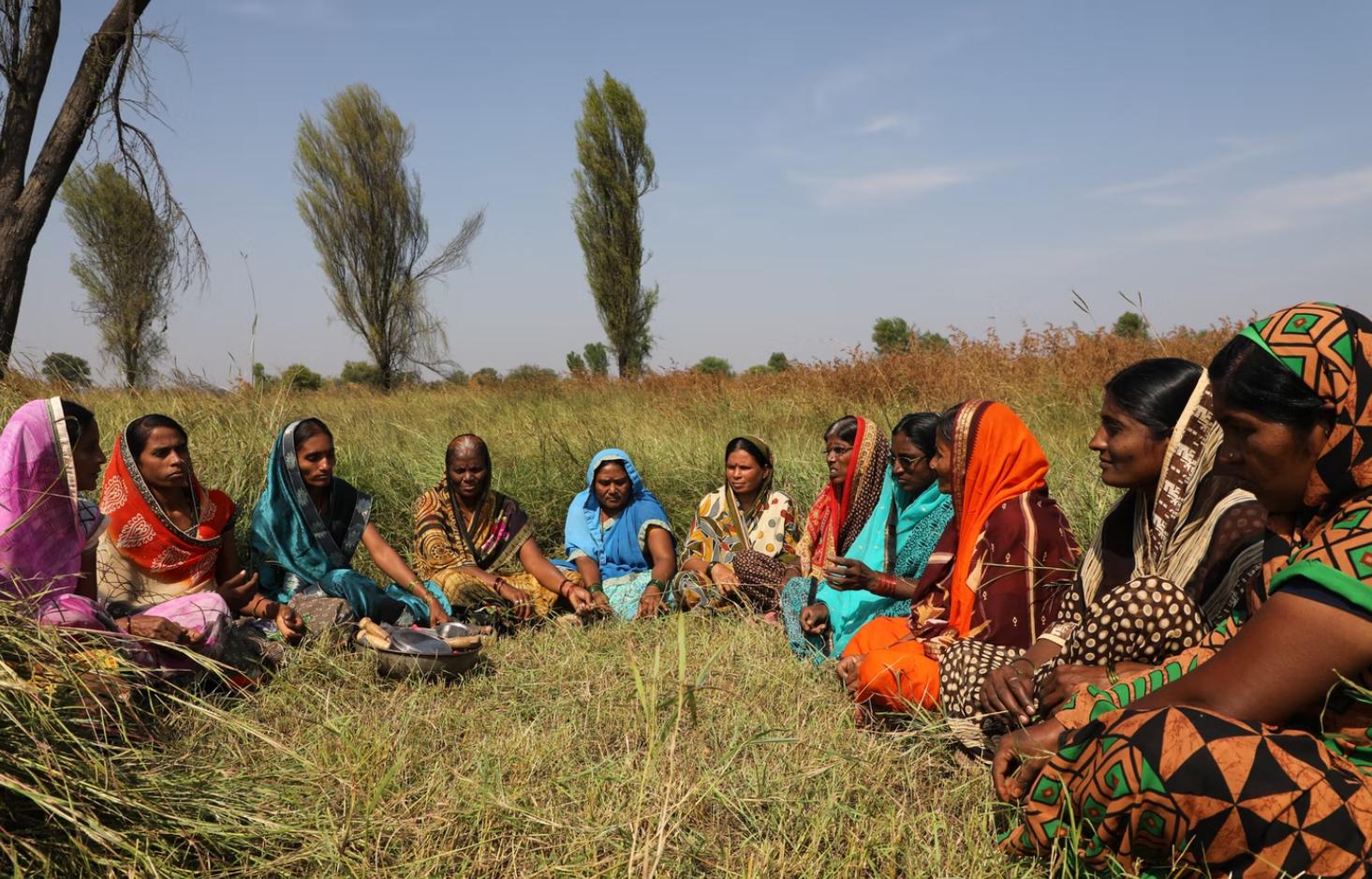 印度是大米第一出口国吗,印度为什么能成为大米出口国