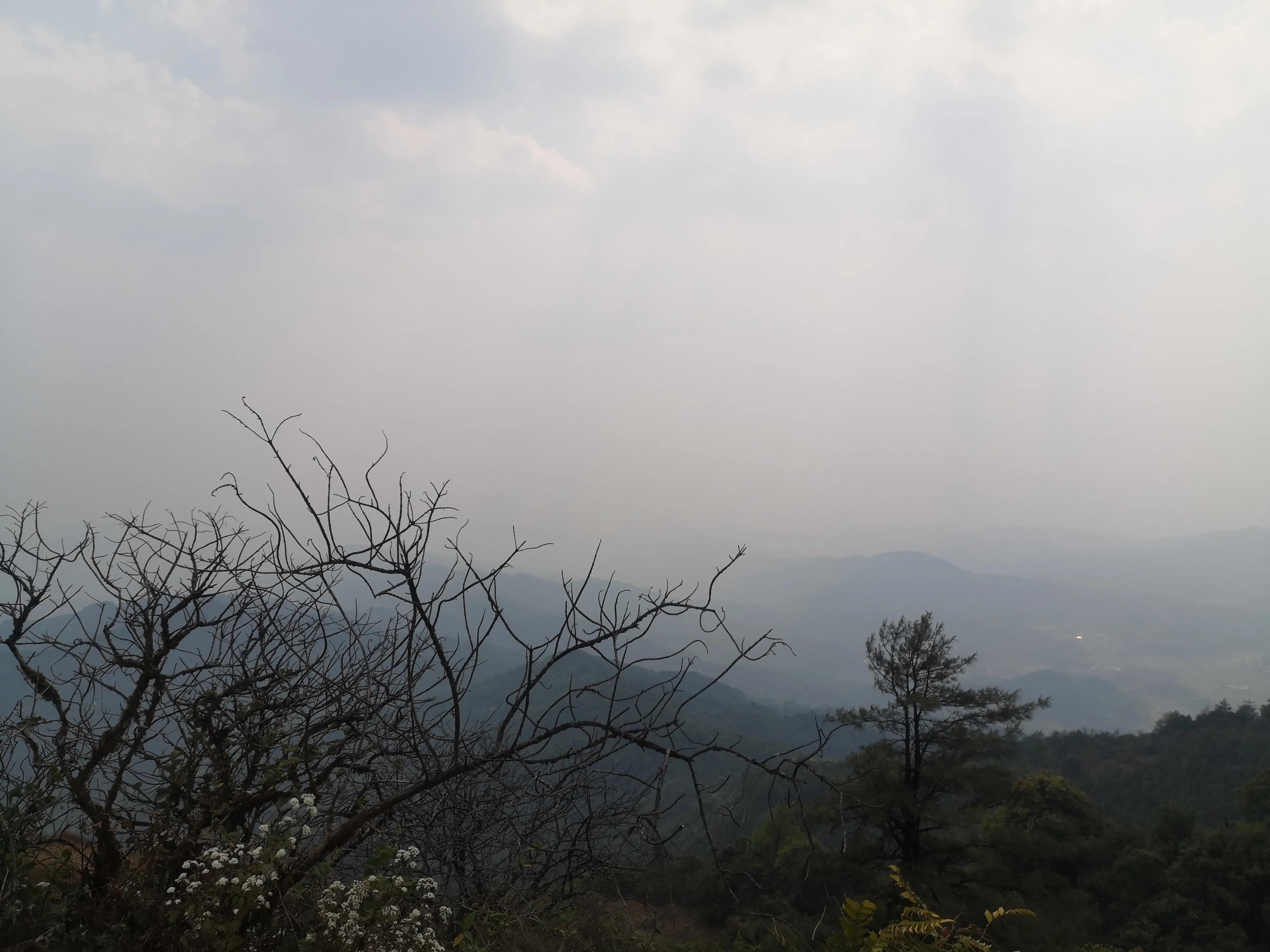 达摩和村山哪个厉害,达摩和村山谁赢了