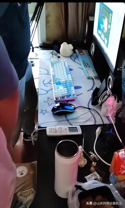 黑客入侵非法网站被抓,黑客入侵网站牟利被抓获