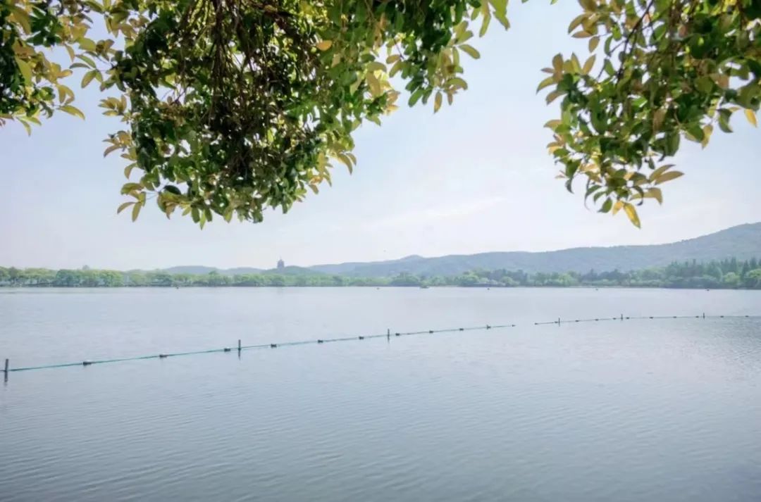 在杭州，会玩的人夏天都来这了