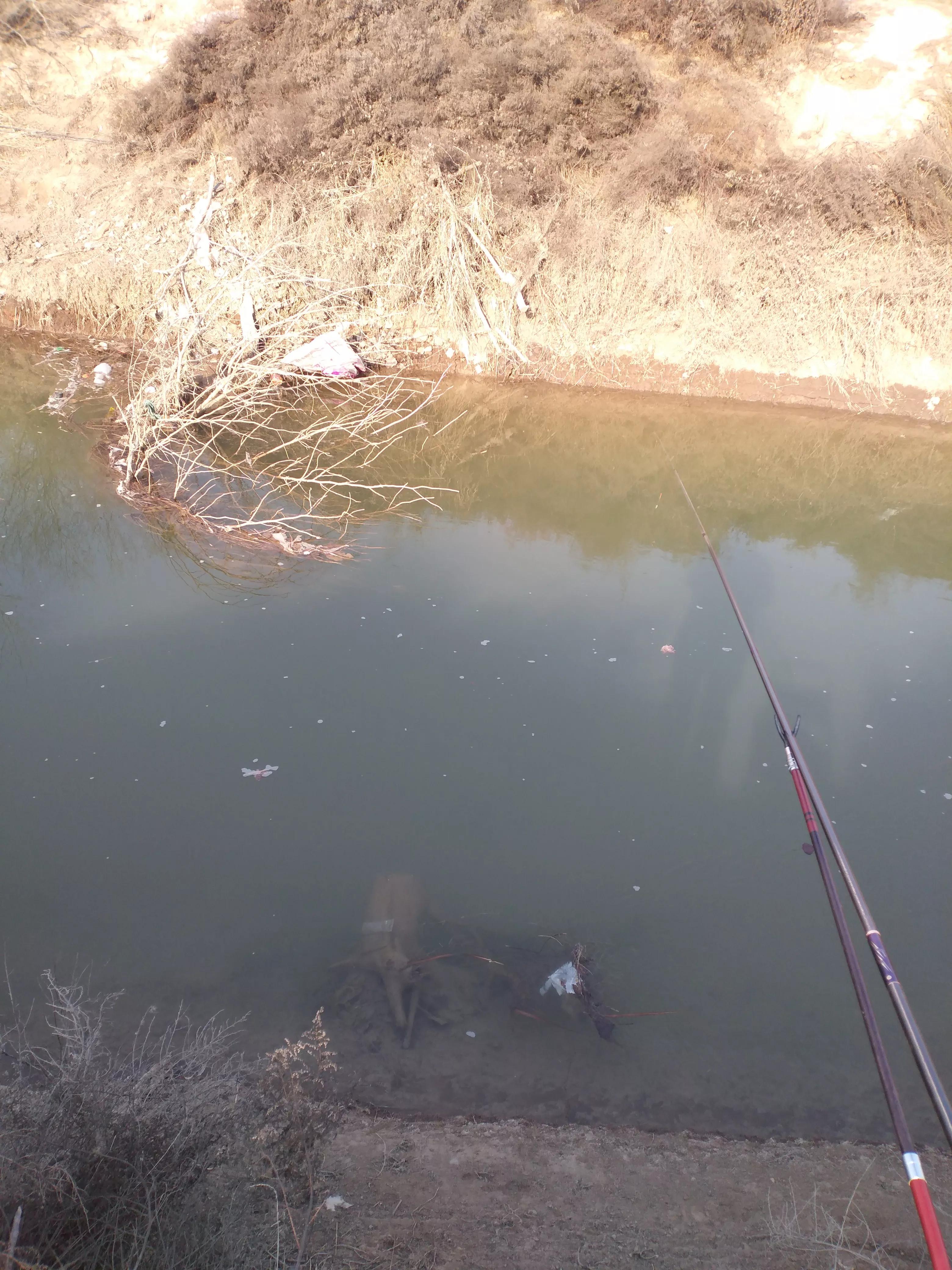 轻口鱼调漂调几目钓几目,野钓轻口鱼最简单的调漂方法