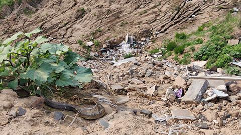 洛阳市幼儿园一键报警,警惕一幼儿园50多名学生感染