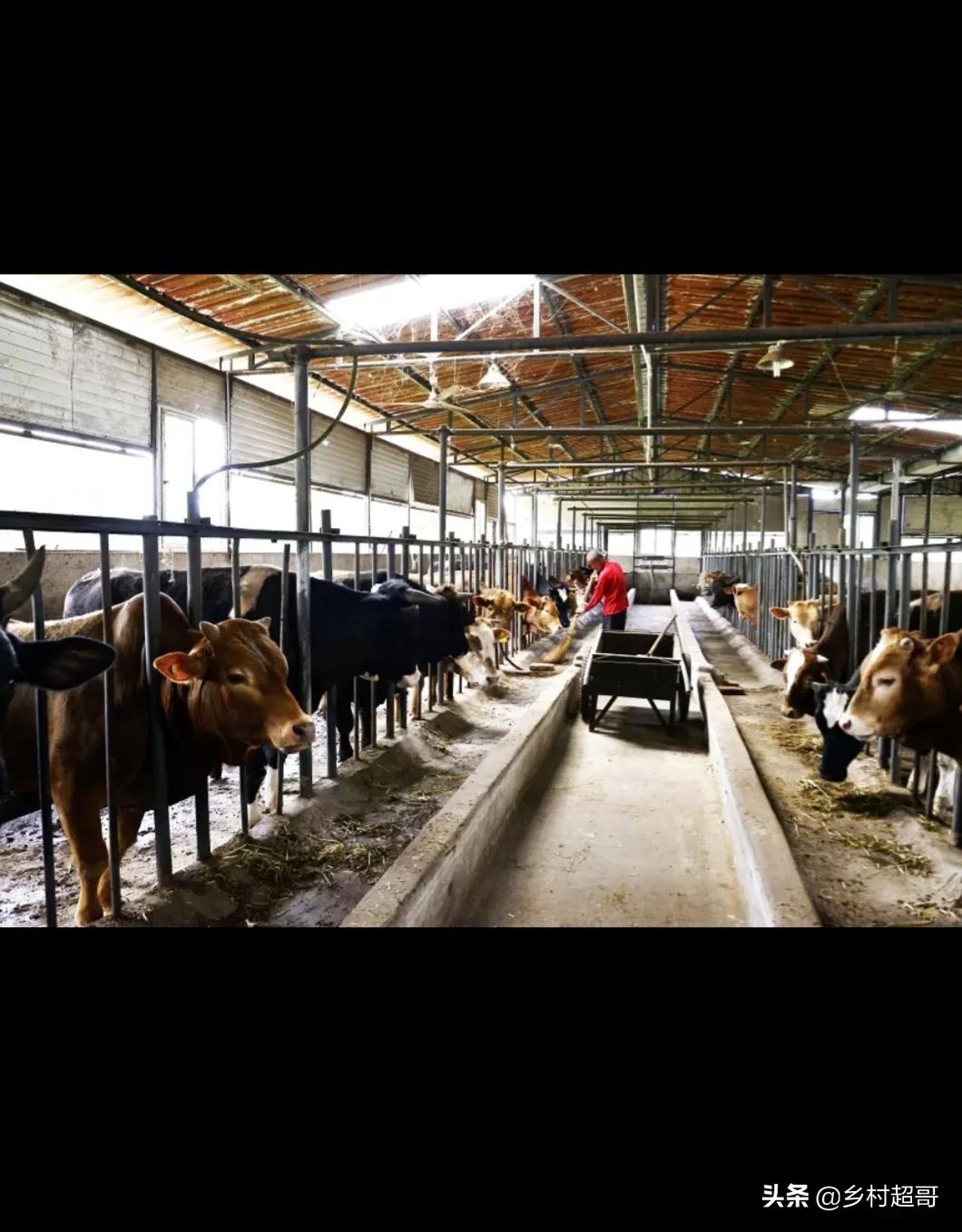 农民的挣钱方法最简单的,农民最好的赚钱路子