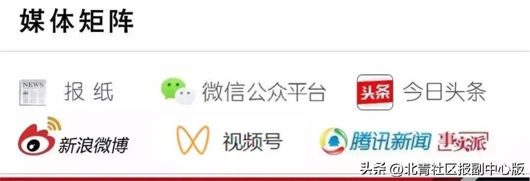 奋斗正青春，兴农正当时——副中心青年“新农人”成长营走进樱桃之乡