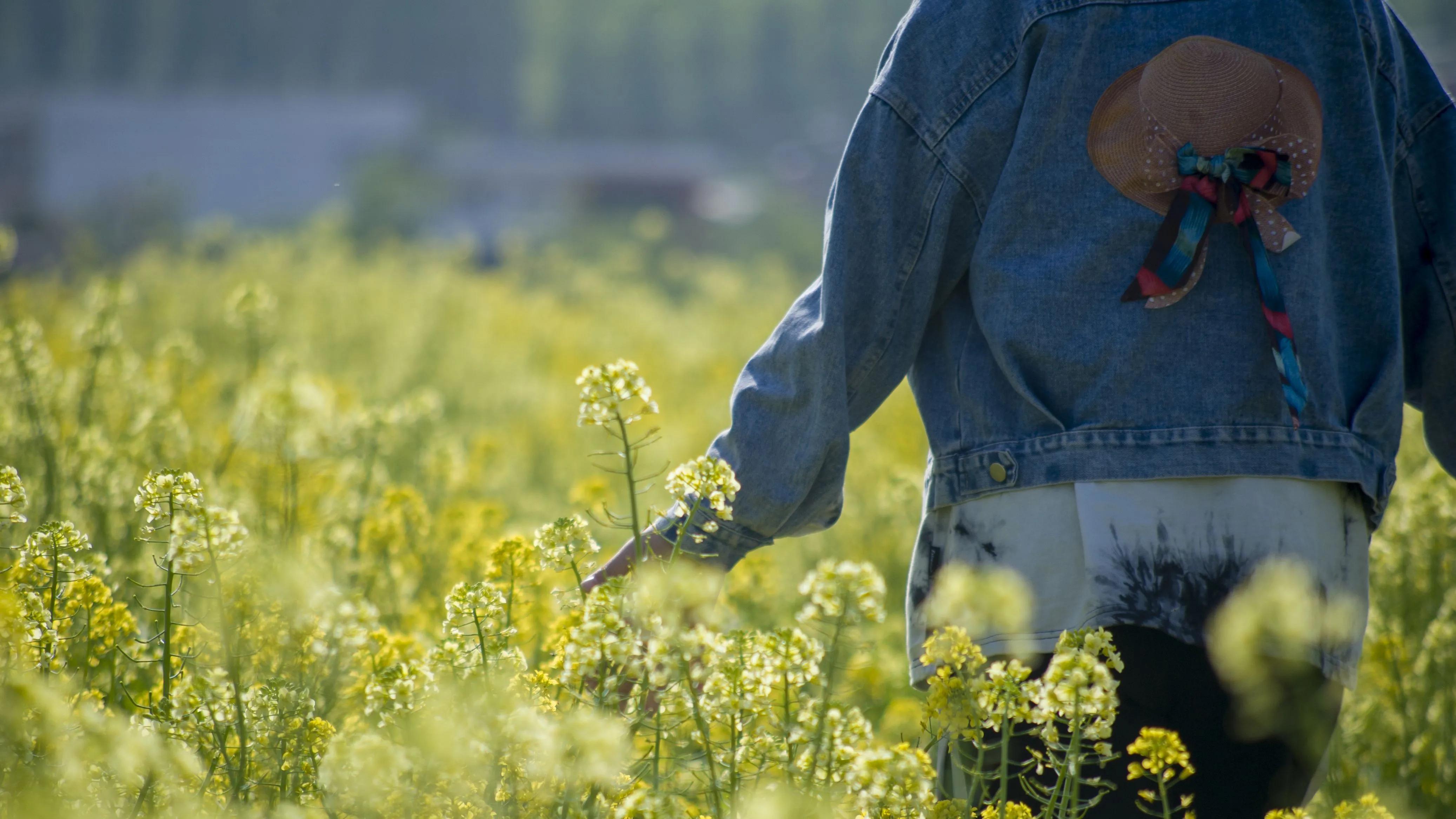 盛开在夏日里的那些花儿,冬天里那些盛开的花儿