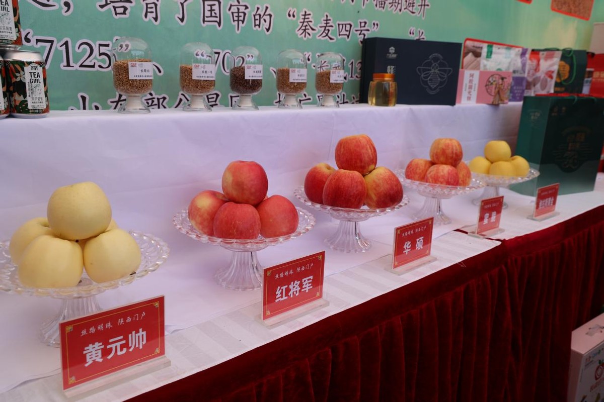 长武:多措并举打好果品宣传营销“组合拳”