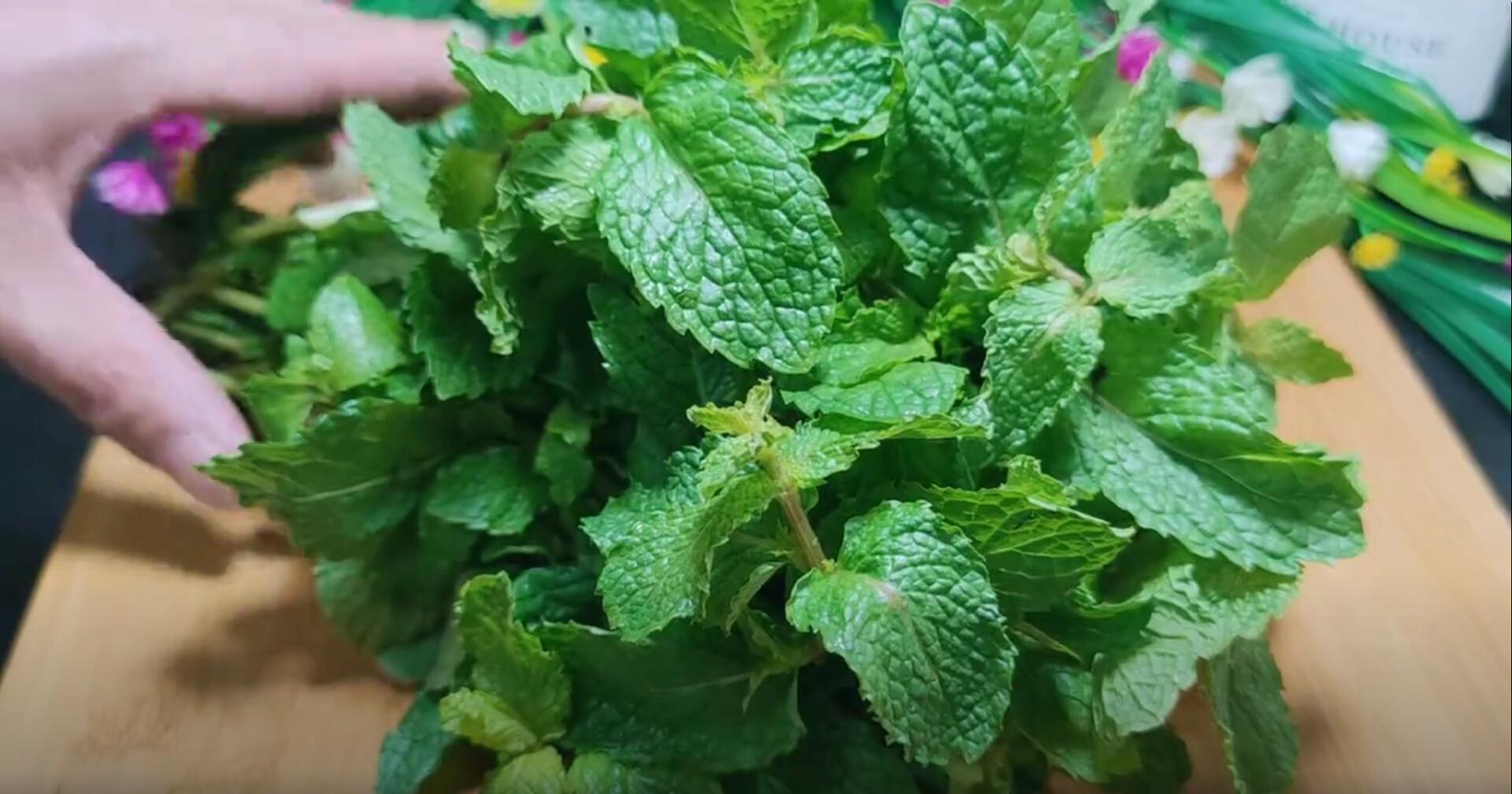 什么菜通便润肠治口臭,预防口臭的菜谱