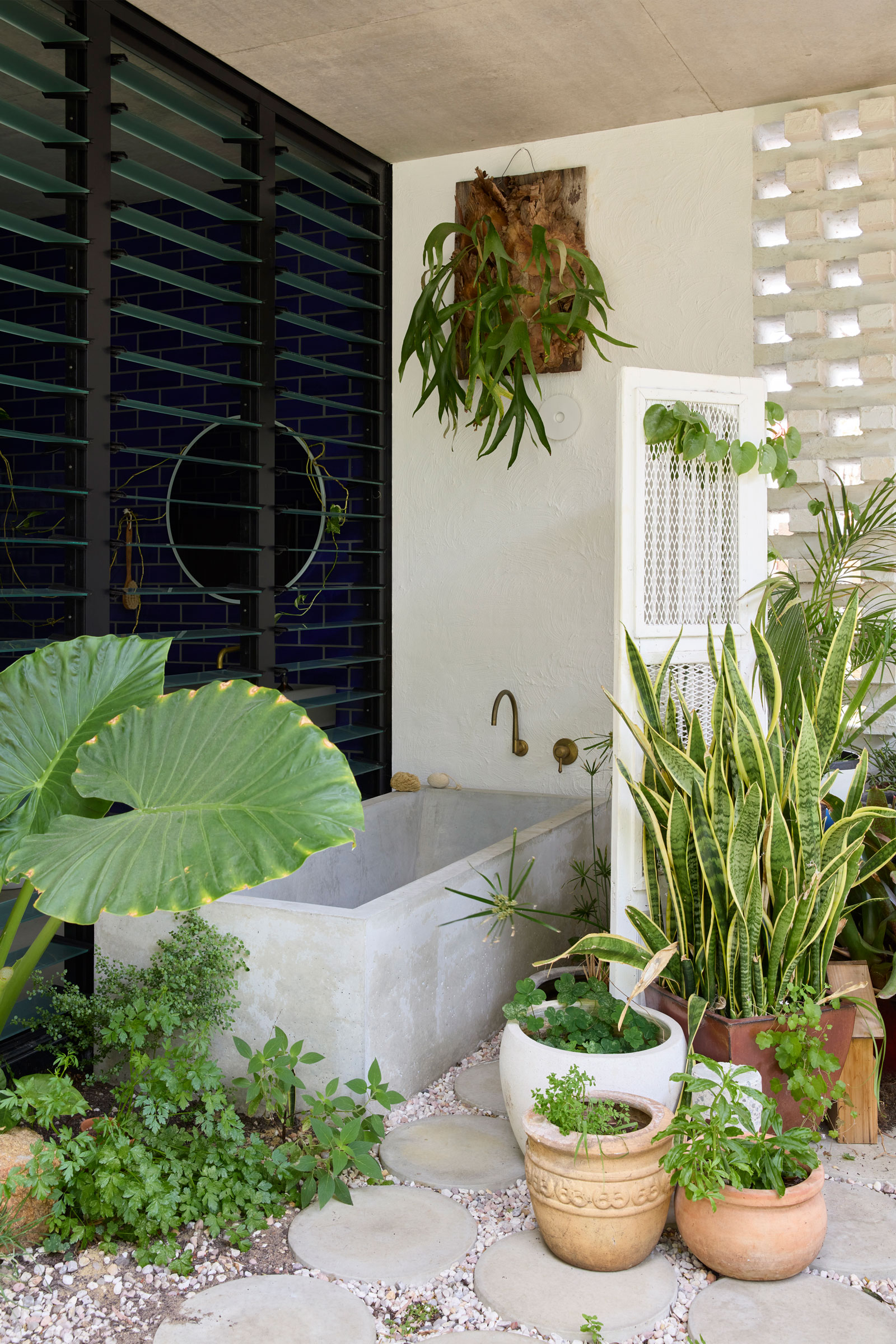 工作室漫游和IOTA：吉米的家