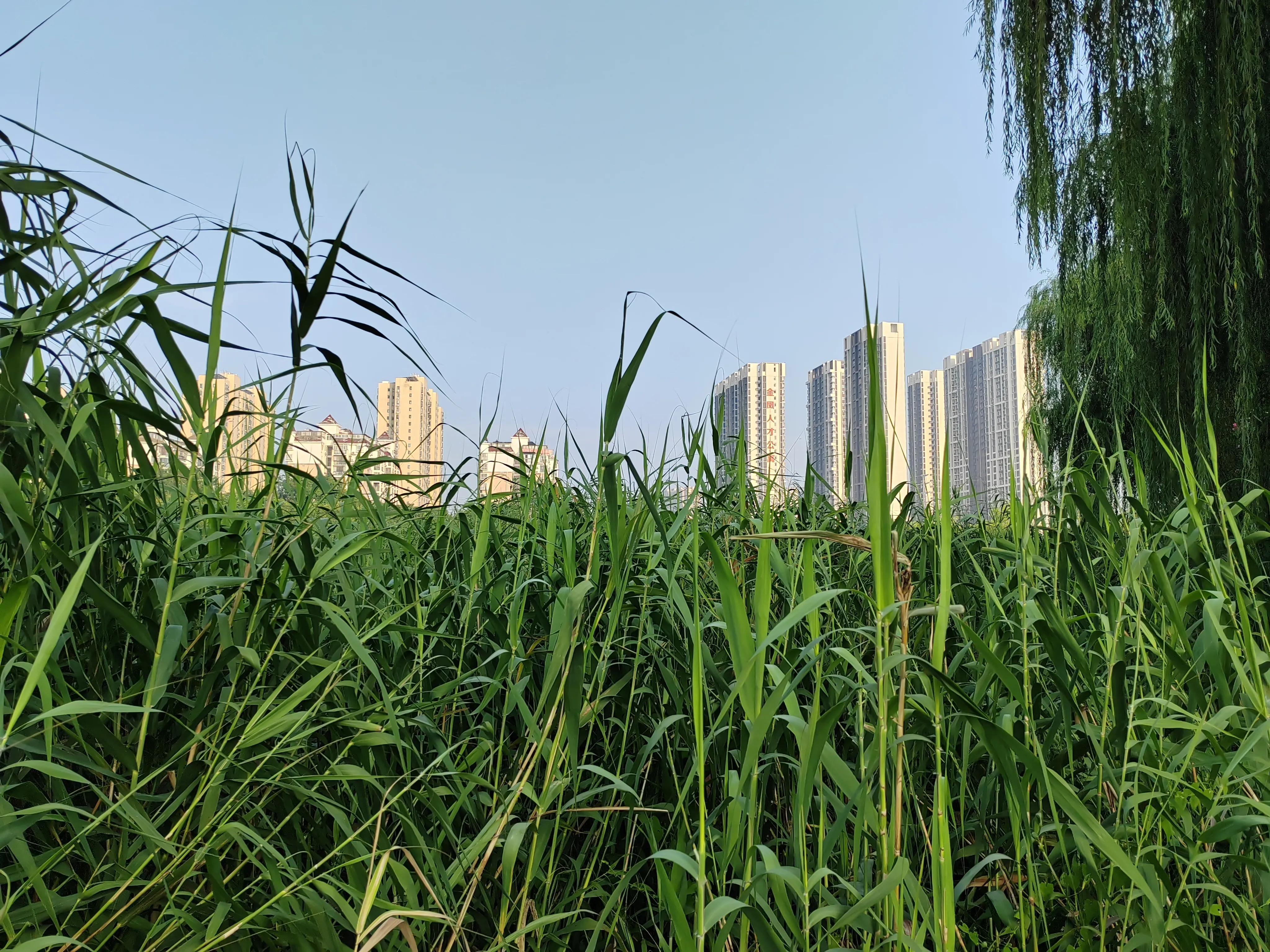 致富三法,致富三招