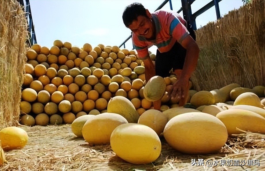 各省特产试吃视频介绍大全,全国各省的特产介绍图片版