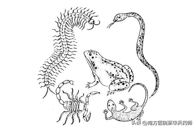 肺虚久咳的症状有哪些,咳久了肺虚症状有哪些