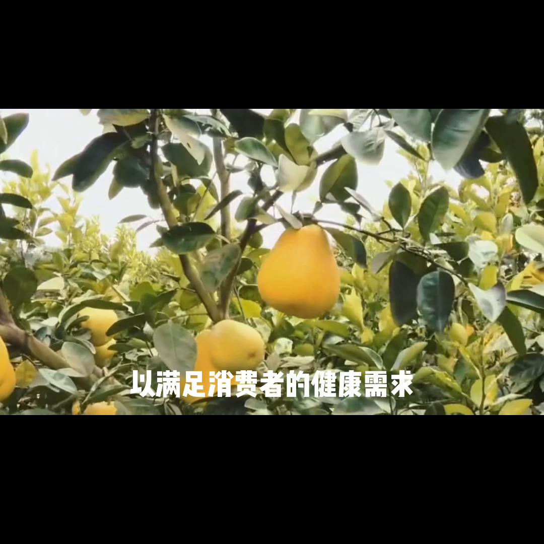 水果店会员卡营销方案,水果店充值营销方案100例