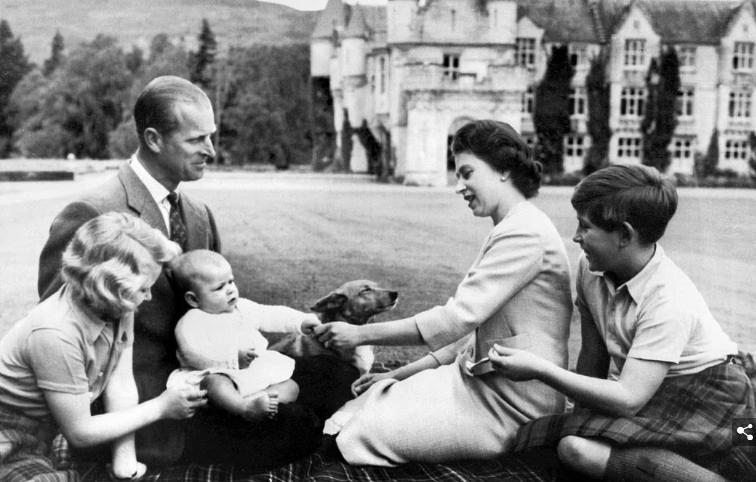 英国女王的婚姻历程,英国女王的爱情文案