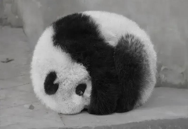 幽默爆笑笑话100个搞笑段子,幽默笑话搞笑段子100篇