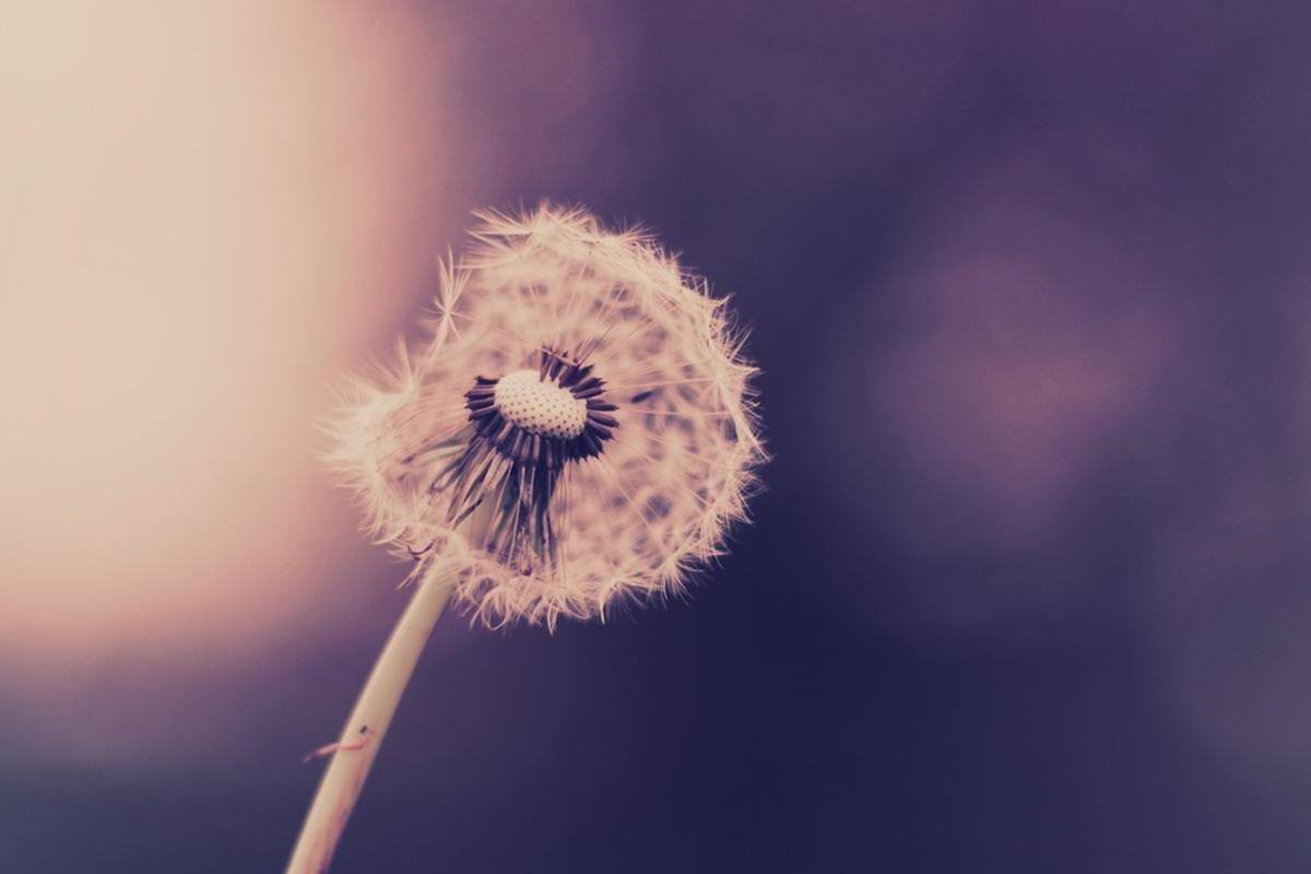 男人眼中，不在这两件事上低头的女人，很高贵