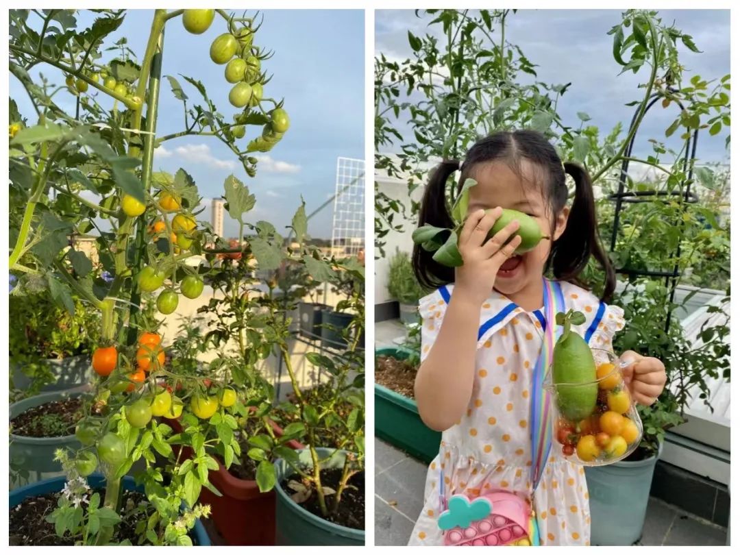 漂泊10年，夫妻回顺德改造4层祖宅：找回人情味