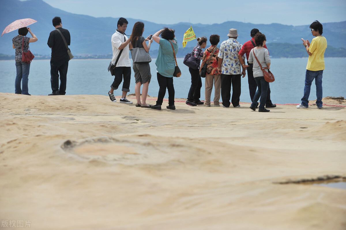 我的导游生涯短片,我的导游生涯